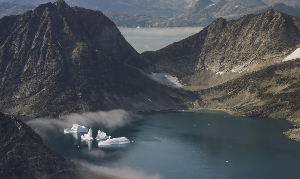 Scientists warn that plants are beginning to replace ice in Greenland