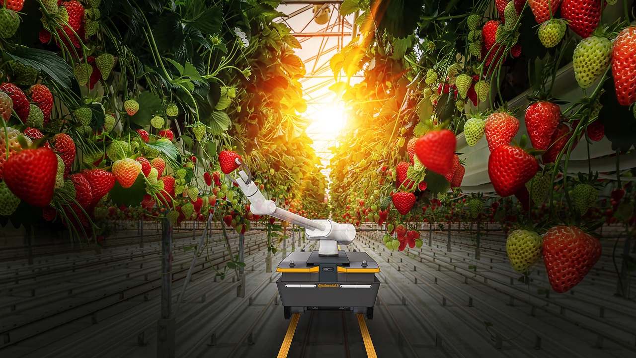 Smart agriculture, sustainable agriculture