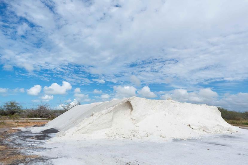 The government is expected to issue an emergency certification in Las Salinas de Cabo Rojo, which would allow permits to be processed expeditiously in the DNER for short-term mitigation projects.
