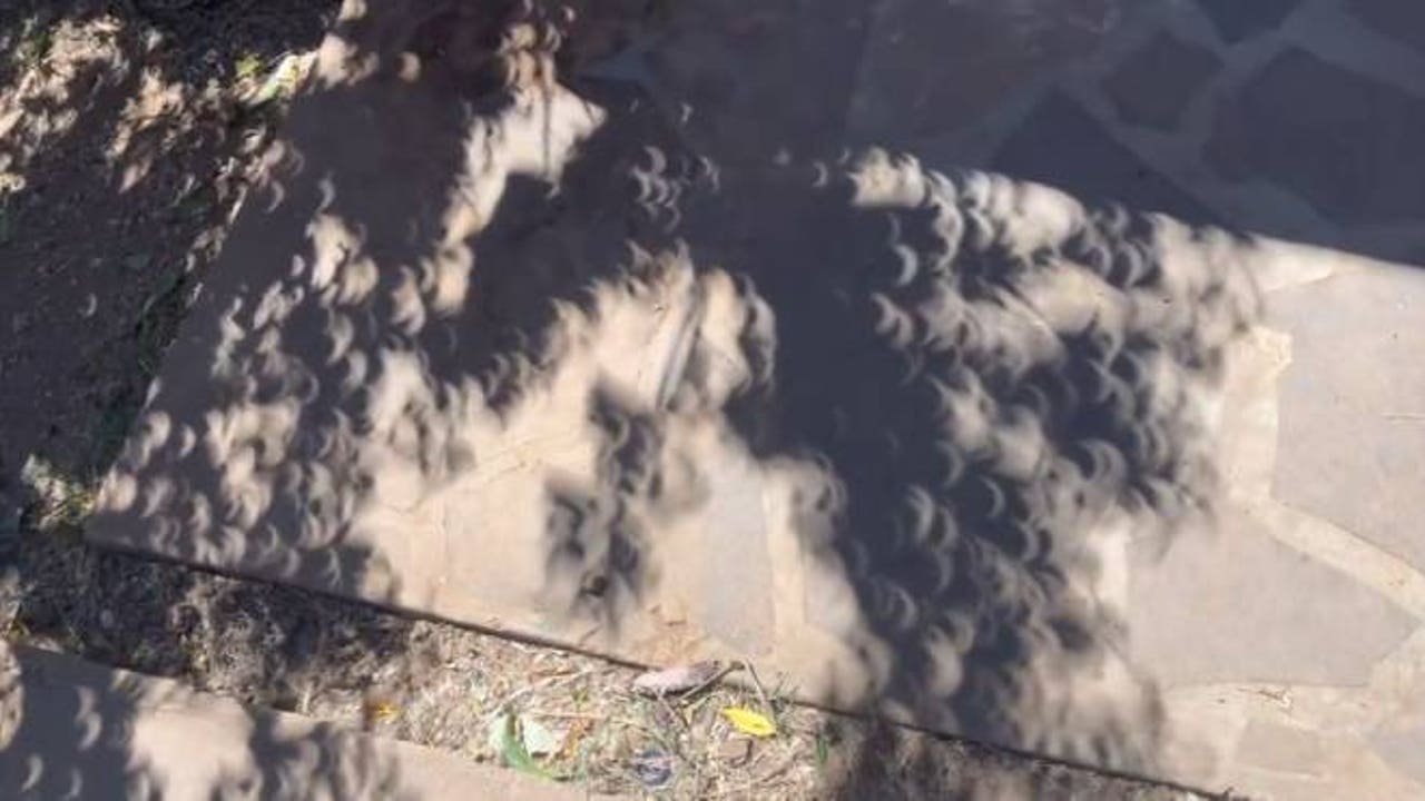 What are the strange 'moon shadows' seen during the total solar eclipse?