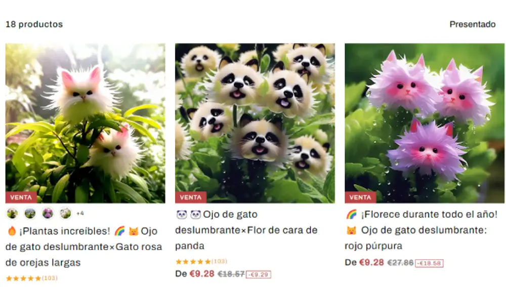 Cat's eye dazzle seeds for sale in online stores.