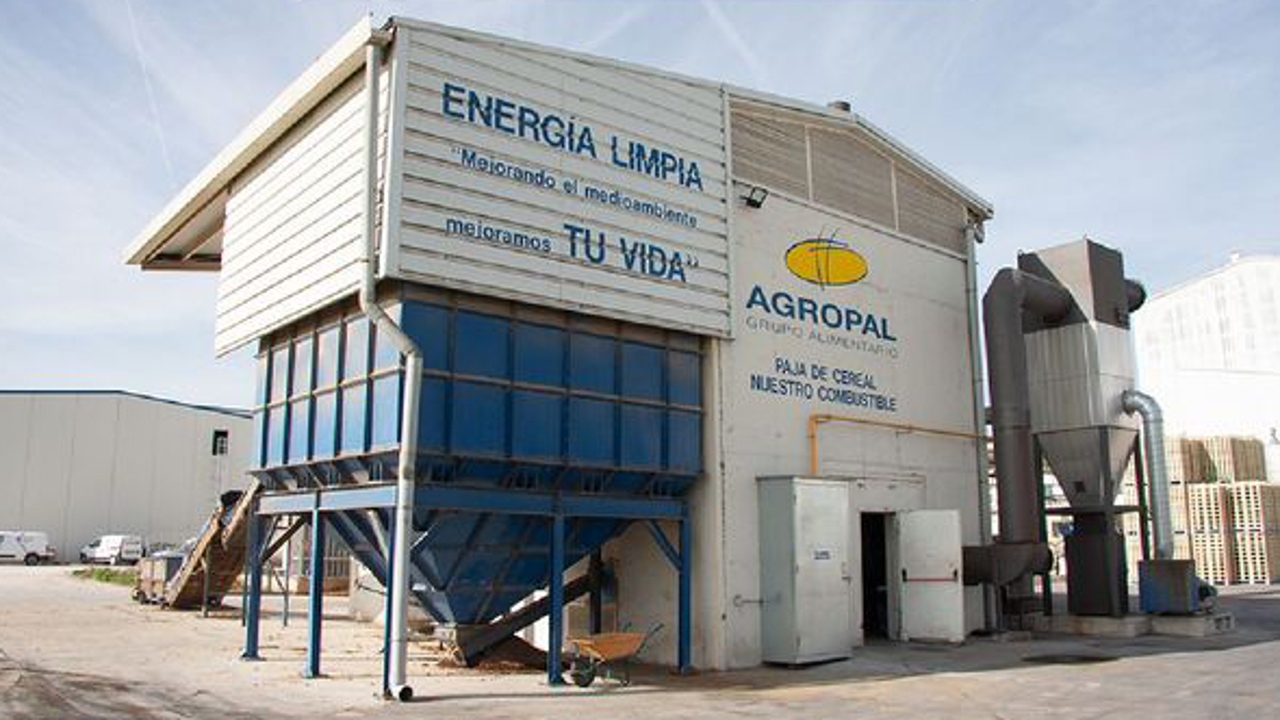 Decarbonize industry in Spain thanks to bioenergy