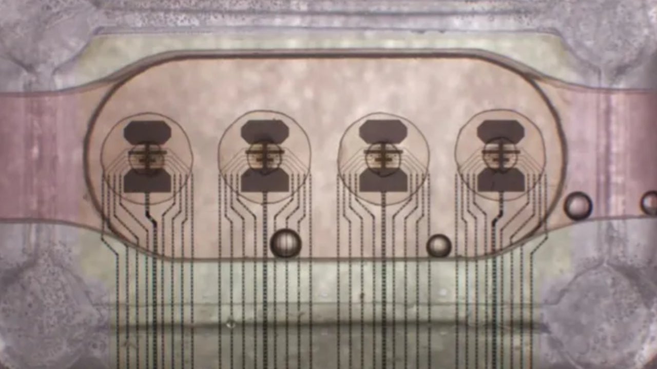 They connect 16 minibrains to make a biological computer